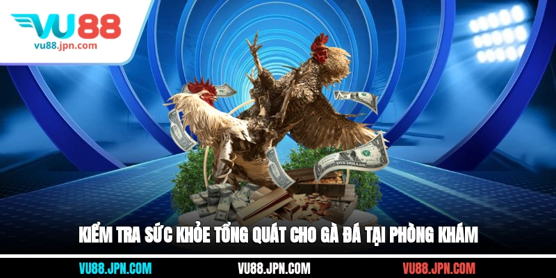 Kiểm tra sức khỏe tổng quát cho gà đá tại phòng khám