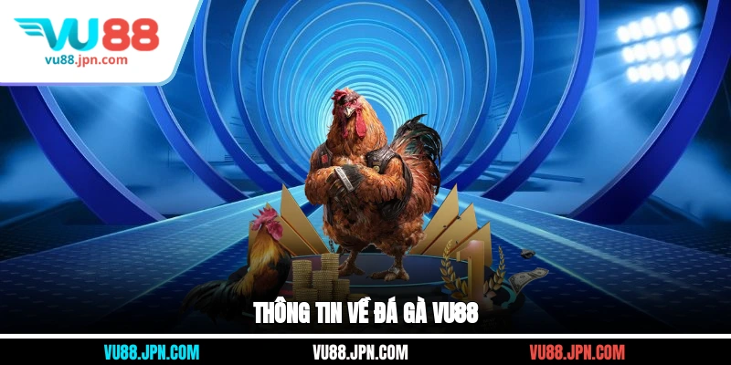 Thông tin về đá gà Vu88